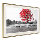 Artgeist Poster Affisch Red Tree [Poster] 60x40 A3-DRBPRP0103l_zr_pp