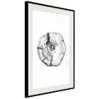 Artgeist Poster Affisch Wood Slice [Poster] 30x45 A3-DRBPRP0581m_cr_pp