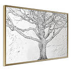 Artgeist Poster Affisch Old Tree [Poster] 90x60 A3-DRBPRP0116x_zr