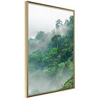 Artgeist Poster Affisch Lush Forest [Poster] 30x45 A3-DRBPRP1680m_zr