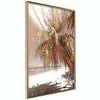 Artgeist Poster Affisch Palm Shadow [Poster] 20x30 A3-DRBPRP1419s_zr