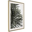 Artgeist Poster Affisch In the Shade of Palm Trees [Poster] 40x60 A3-DRBPRP1400l_zr_pp