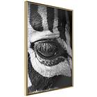 Artgeist Poster Affisch Zebra Eye [Poster] 20x30 A3-DRBPRP0397s_zr