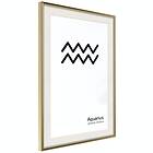 Artgeist Poster Affisch Aquarius [Poster] 20x30 A3-DRBPRP1179s_zr_pp