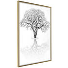 Artgeist Poster Affisch Reflection Tree [Poster] 40x60 A3-DRBPRP0432l_zr