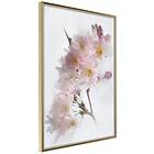 Artgeist Poster Affisch Spring in Japan [Poster] 40x60 A3-DRBPRP1691l_zr