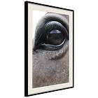 Artgeist Poster Affisch Honest Eyes [Poster] 40x60 A3-DRBPRP1323l_cr_pp