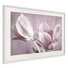 Artgeist Poster Affisch Pink Tulips [Poster] 90x60 A3-DRBPRP0105x_br_pp