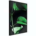 Artgeist Poster Affisch Plant in Black [Poster] 30x45 A3-DRBPRP1067m_cr