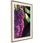Artgeist Poster Affisch Colours of Spring [Poster] 20x30 A3-DRBPRP1068s_zr_pp