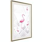 Artgeist Poster Affisch Flamingo Family [Poster] 40x60 A3-DRBPRP0472l_zr_pp