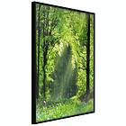Artgeist Poster Affisch Rebirth of Nature [Poster] 20x30 A3-DRBPRP1707s_cr