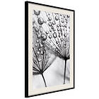 Artgeist Poster Affisch Morning Dew [Poster] 20x30 A3-DRBPRP0545s_cr_pp