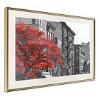 Artgeist Poster Affisch Autumn in New York [Poster] 45x30 A3-DRBPRP0104m_zr_pp