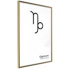 Artgeist Poster Affisch Capricorn [Poster] 20x30 A3-DRBPRP1178s_zr