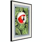 Artgeist Poster Affisch Parrot In The Jungle [Poster] 30x45 A3-DRBPRP0501m_cr_pp