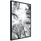 Artgeist Poster Affisch Winter Flight [Poster] 20x30 A3-DRBPRP1153s_cr