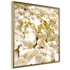Artgeist Poster Affisch White Meadow [Poster] 30x30 A3-DRBPRP0038l_zr