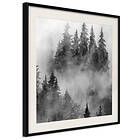 Artgeist Poster Affisch Black Forest [Poster] 20x20 A3-DRBPRP0025_cr_pp