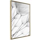 Artgeist Poster Affisch Lightness of Moment [Poster] 20x30 A3-DRBPRP0399s_zr