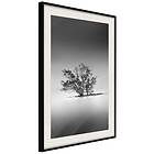 Artgeist Poster Affisch Tree on the Island [Poster] 30x45 A3-DRBPRP0396m_cr_pp