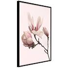 Artgeist Poster Affisch Blooming Flowers [Poster] 30x45 A3-DRBPRP0683m_cr