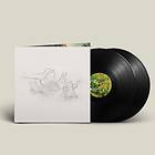 Big Thief - Dragon New Warm Mountain I Believe In You LP