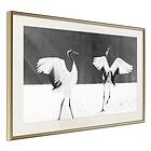 Artgeist Artgeist Poster Affisch Dancing Cranes 90x60cm Guld Ram Med Passepartout