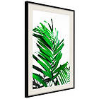 Artgeist Poster Affisch Juicy Leaf [Poster] 40x60 A3-DRBPRP1583l_cr_pp