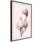 Artgeist Poster Affisch Seasonal Flowers [Poster] 40x60 A3-DRBPRP0684l_cr_pp