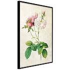 Artgeist Poster Affisch Floristic Chic [Poster] 40x60 A3-DRBPRP1166l_cr