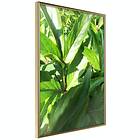 Artgeist Poster Affisch Summer Afternoon [Poster] 30x45 A3-DRBPRP1192m_zr