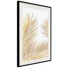 Artgeist Poster Affisch Golden Palm Leaves [Poster] 30x45 A3-DRBPRP1695m_cr_pp