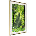 Artgeist Poster Affisch Rebirth of Nature [Poster] 20x30 A3-DRBPRP1707s_zr_pp