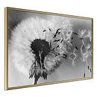 Artgeist Poster Affisch Passing Memory [Poster] 45x30 A3-DRBPRP0153m_zr