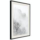 Artgeist Poster Affisch Trees In The Fog [Poster] 40x60 A3-DRBPRP0547l_cr_pp