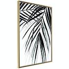 Artgeist Poster Affisch Palm Relax [Poster] 30x45 A3-DRBPRP1025m_zr