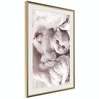 Artgeist Poster Affisch Lover of Rest [Poster] 40x60 A3-DRBPRP1528l_zr_pp