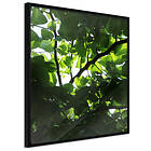 Artgeist Poster Affisch Dawn [Poster] 30x30 A3-DRBPRP0004l_cr