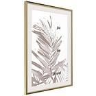 Artgeist Poster Affisch Palm Plant [Poster] 20x30 A3-DRBPRP1280s_zr_pp