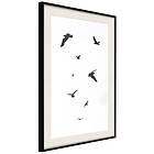 Artgeist Poster Affisch Evening Flight [Poster] 20x30 A3-DRBPRP1374s_cr_pp