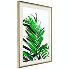 Artgeist Poster Affisch Juicy Leaf [Poster] 30x45 A3-DRBPRP1583m_zr_pp