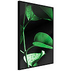 Artgeist Poster Affisch Plant in Black [Poster] 40x60 A3-DRBPRP1067l_cr
