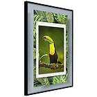 Artgeist Poster Affisch Toucan [Poster] 20x30 A3-DRBPRP0510s_cr