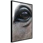 Artgeist Poster Affisch Honest Eyes [Poster] 30x45 A3-DRBPRP1323m_cr