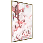 Artgeist Poster Affisch Blooming Cotton [Poster] 20x30 A3-DRBPRP1529s_zr