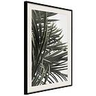 Artgeist Poster Affisch In the Shade of Palm Trees [Poster] 40x60 A3-DRBPRP1400l_cr_pp