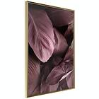 Artgeist Poster Affisch Velvet Leaves [Poster] 40x60 A3-DRBPRP1345l_zr