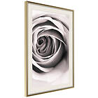 Artgeist Poster Affisch Rose Vortex [Poster] 20x30 A3-DRBPRP1089s_zr_pp