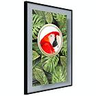 Artgeist Poster Affisch Parrot In The Jungle [Poster] 40x60 A3-DRBPRP0501l_cr